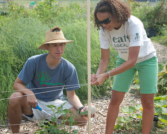 D.C. Community Garden