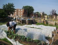 common good city farm