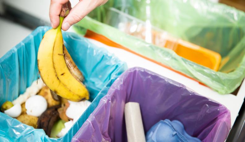 putting a banana peel in the compost