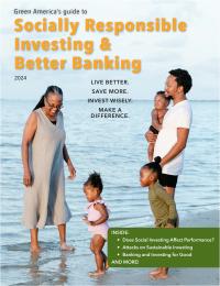 cover image for GSRI