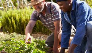 Climate Victory Gardens Resources