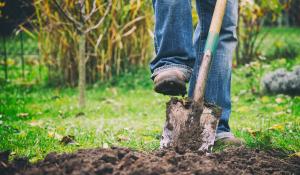 Image: boot pushing shovel into the dirt. Topic: Regenerative Agriculture & Farming to Reverse Climate Change