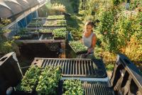 Meredith Sheperd working by a greenhouse.