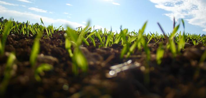 soil superheroes cover