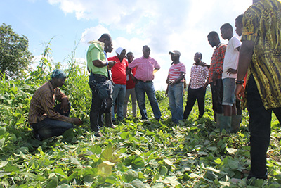 Center for no till farming