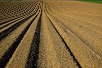 Image: field ready for planting. Topic: Industrial Agriculture
