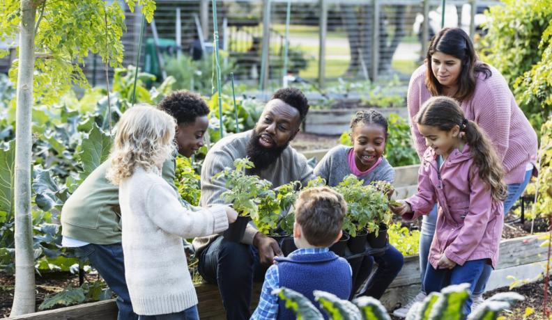 A Black man is holding a tray of potted tomatoes. He is looking at a blonde child and talking with a happy look on his face. He is surrounded by five children, including the blonde child. To his immediate left and right are his daughter and son, respectively. A mom leans over from outside the circle of children to observe. They are all in a vibrant community garden.