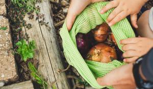 Women and Child hand in garden