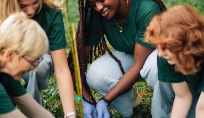 people working together to plant a tree