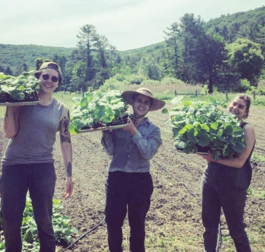 Three Adamah Farm Fellows with their bounty hoisted on their shoulders.  