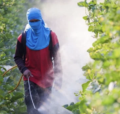 Ban Organophosphates