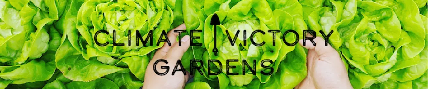 Image: hands reaching into heads of lettuce. Title: Want to Join the Climate Victory Garden Movement? Turn Your Yard into a Mini-Farm!