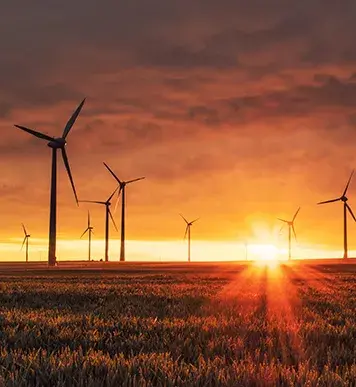 Image: wind farm at sunset. Topic: Green America®澳洲体彩幸运5官方网站's Work on Climate Change