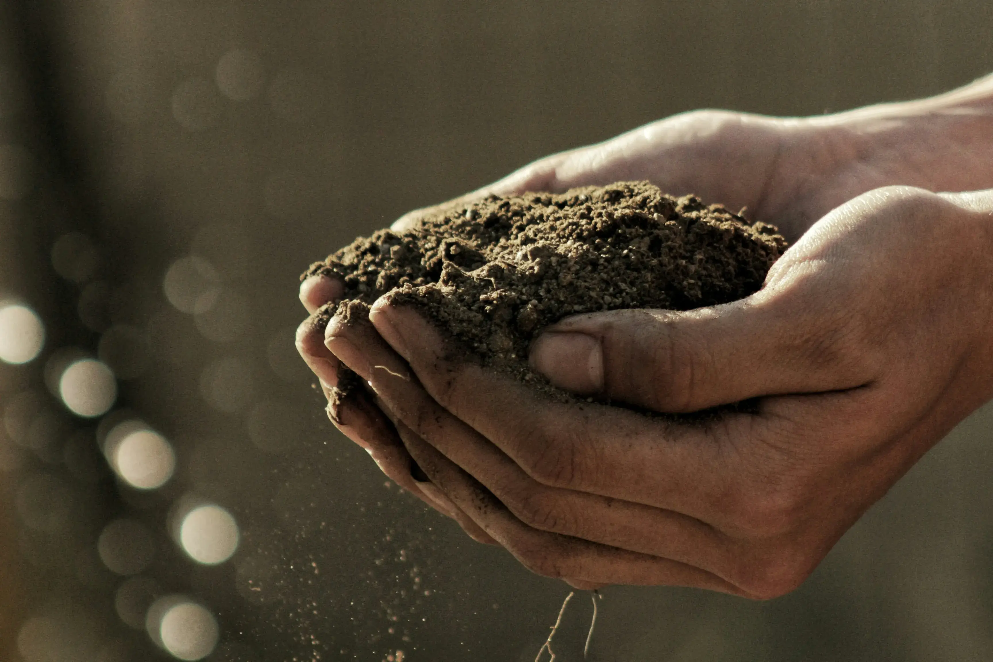 Hands holding soil.