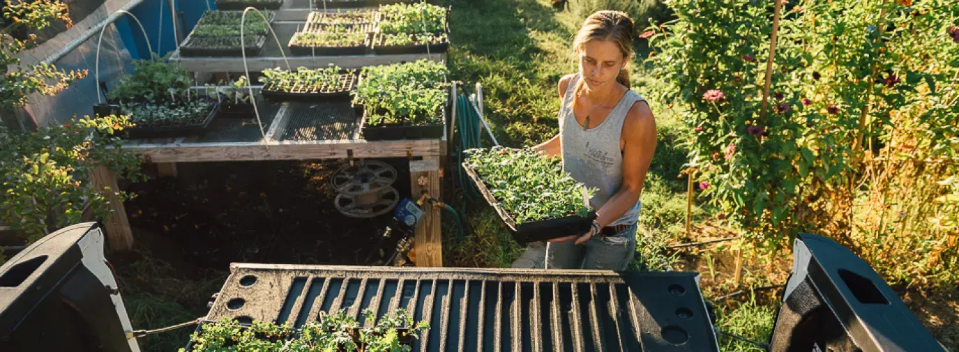 Meredith Sheperd working by a greenhouse.