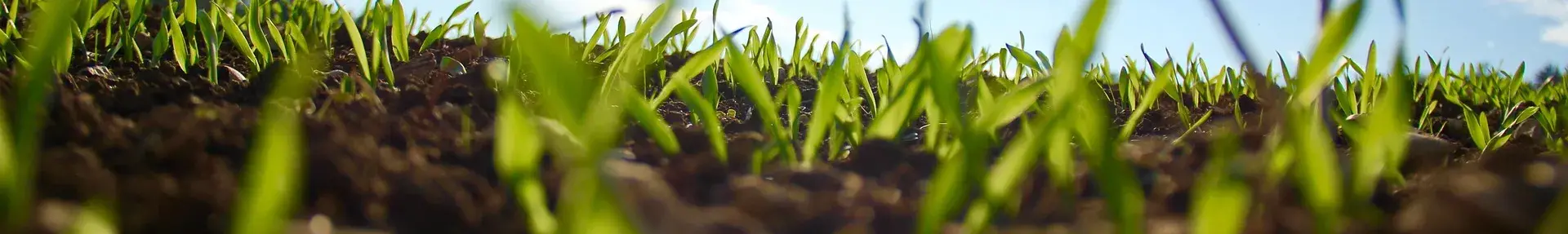 soil superheroes cover