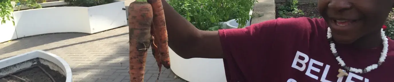 young man holds carrots in school climate victory garden