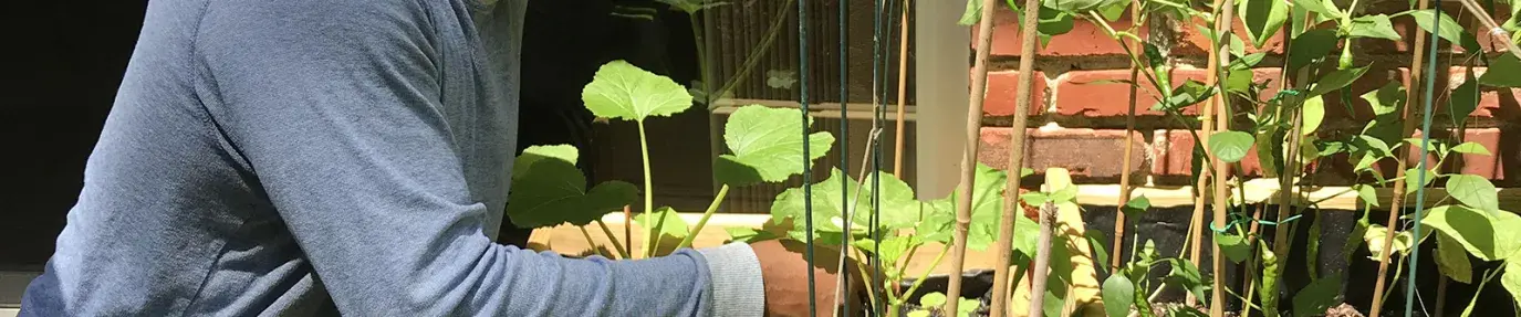 Image: Monique's father in his garden. Title: Finding Hope for Climate in My Parents' Garden
