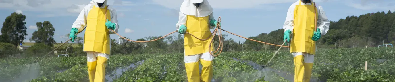 Farmworkers spraying pesticides